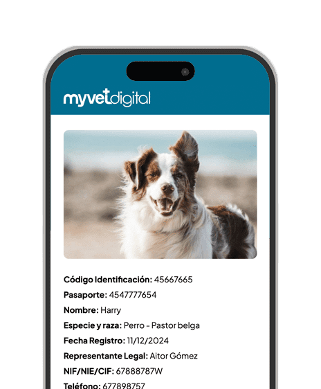 animal ficha