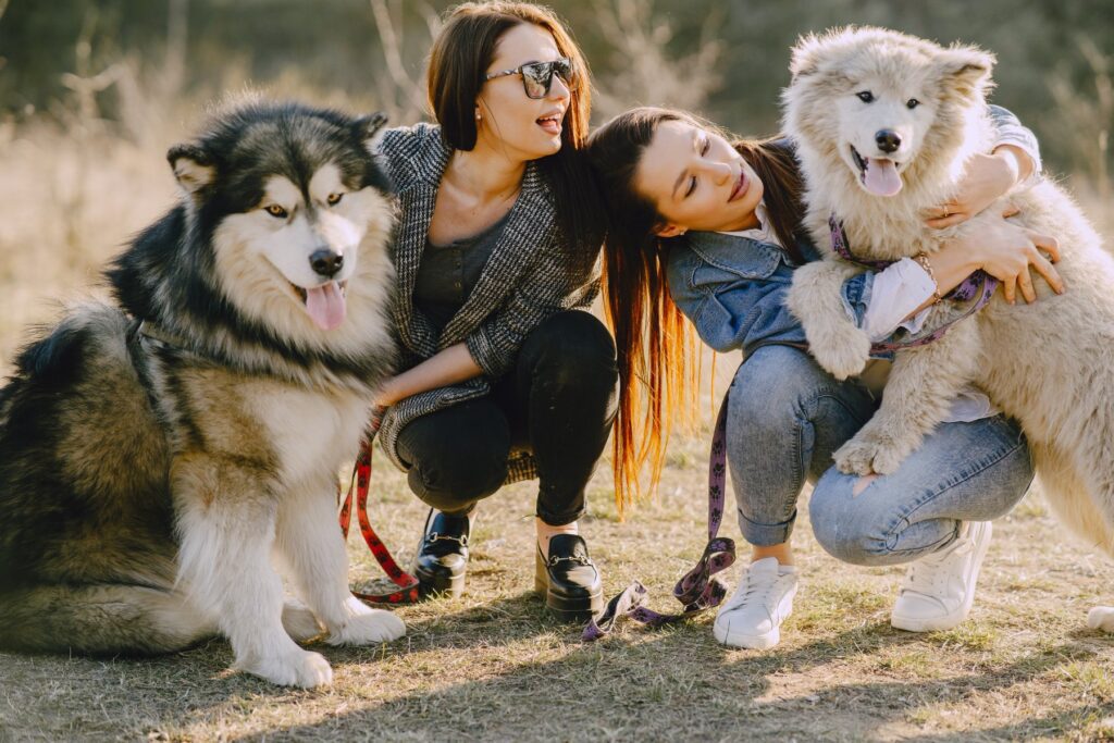 mantener la salud de las mascotas con myvetdigital