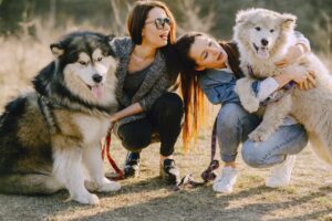 mantener la salud de las mascotas con myvetdigital